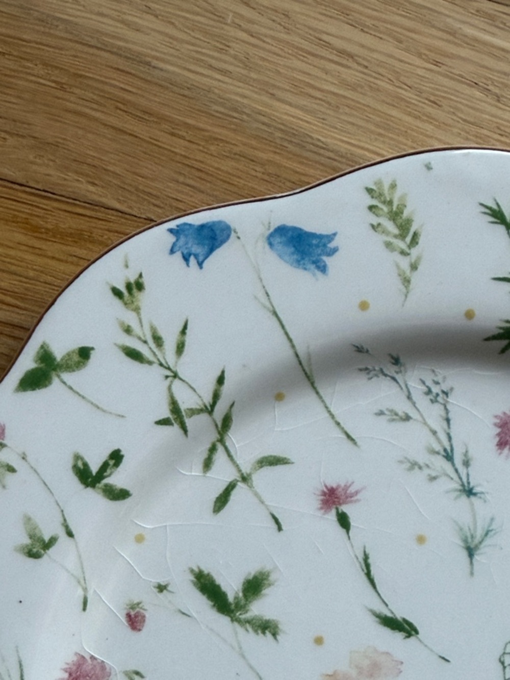 NWOT Ashland Floral Meadow Ceramic Dinner Plate - Floral Print & Golden Trim - Picture 5 of 6
